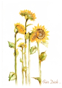 Sunflowers (Heidi, Linz Austria)